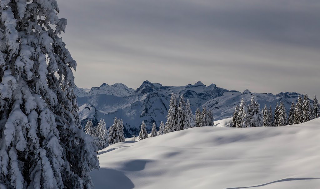 Blick von der Rotenflue zum Stoos mit Uri Rotstock im Hintergrund by Iwan Schrackmann