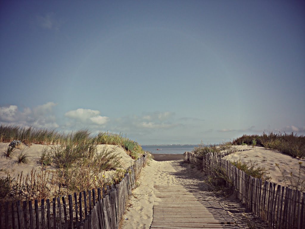 Ronce-les-Bains, la plage. by Samuel24