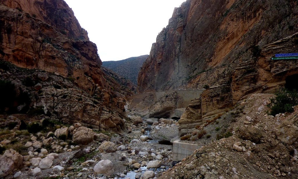 Gorges de Tighanimine by fahed