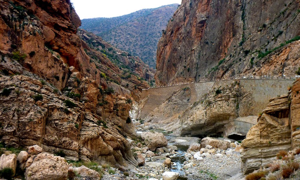 Gorges de Tighanimine by fahed