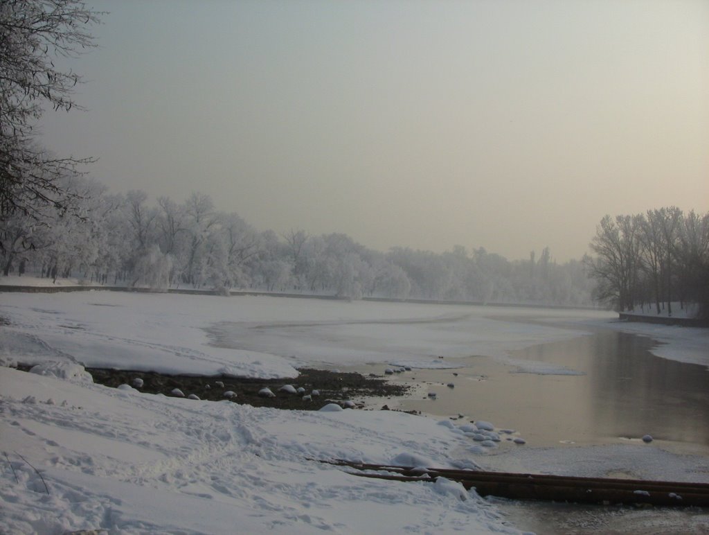 Winter in Herastrau by wolfyman