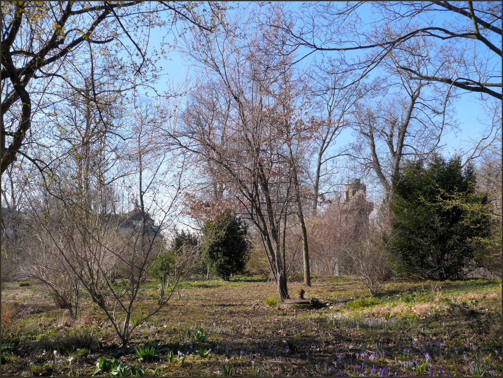 March in park by © Rapi ( Ipernity-Pa…