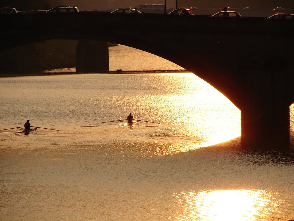 5 p.m./different leisure activities: rowing down to Pisa, queuing out of the city by qfwfq-2