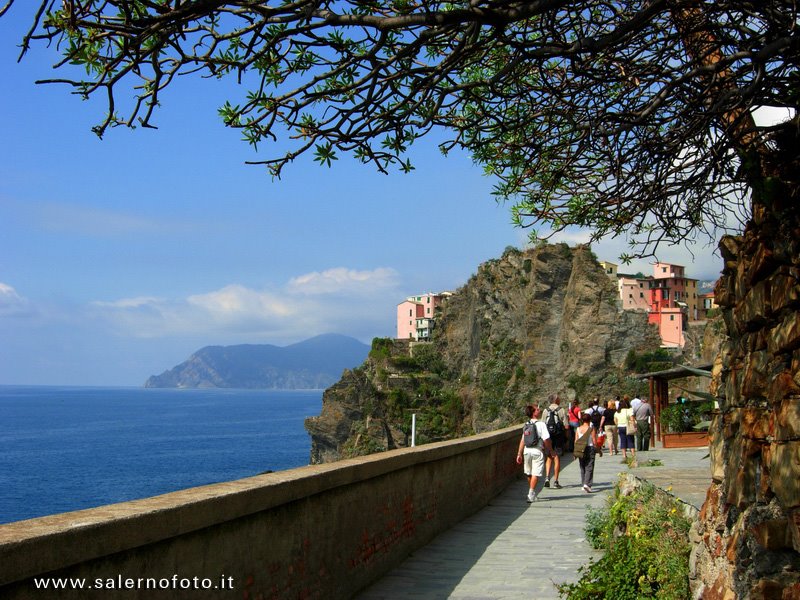 DA RIOMAGGIORE A MANAROLA - LA VIA DELL'AMORE by oscarleone