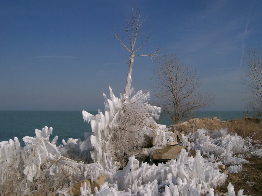 Northerly Island by Leskra