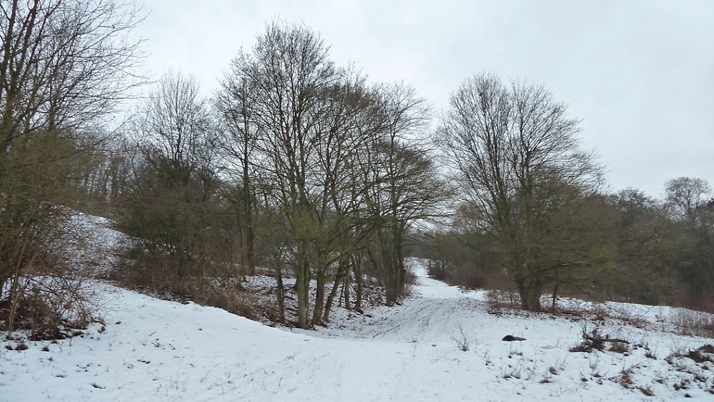 Bei Schnee schwer gangbarer Fußpfad by WanderGroschi & CGK