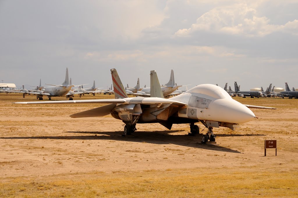 Tucson; F-14 Tomcat by Phil Nieto