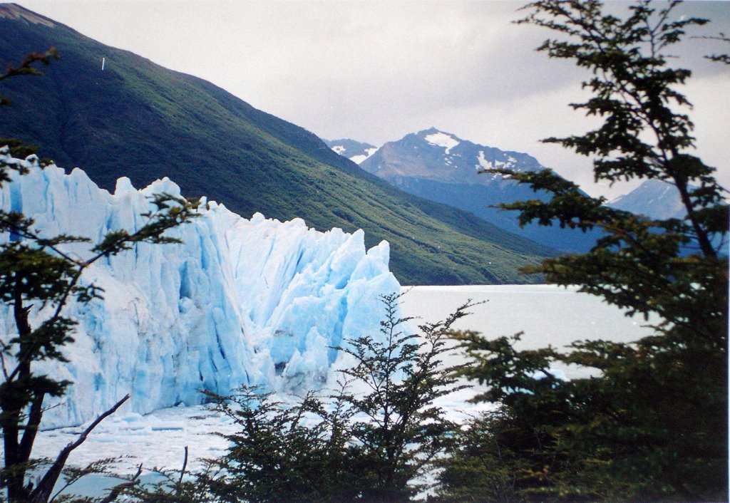 Argentina - Santa Cruz, Calafate, Parque Nacional Los Glaciares, Lago Argentino, Glaciar Perito Moreno by Carlos Petracca