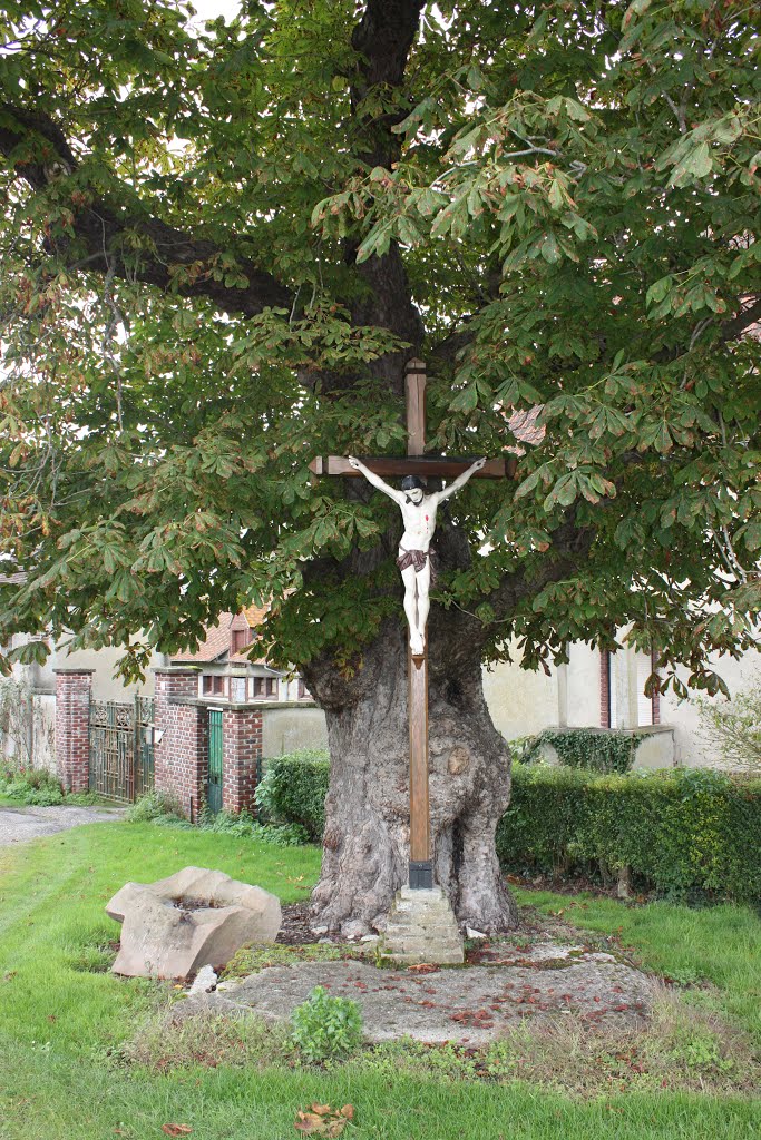 Calvaire de Longpré les Corps Saints by Christophe LACROIX