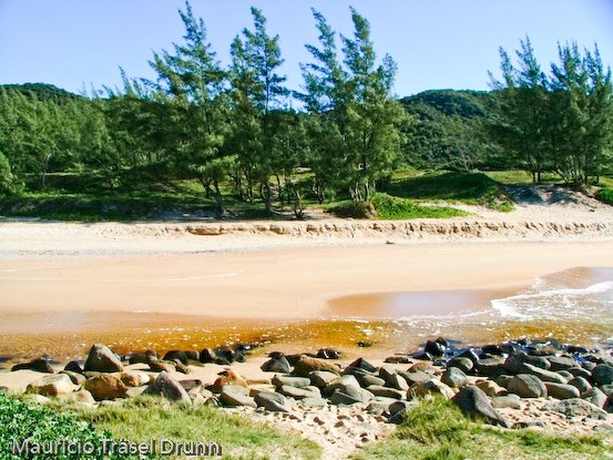 Silveirismo - Silveira Beach by Mauricio Drunn