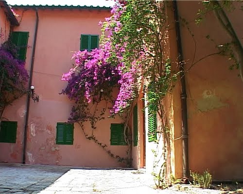 La casa di caccia del re by filiberto.filippini