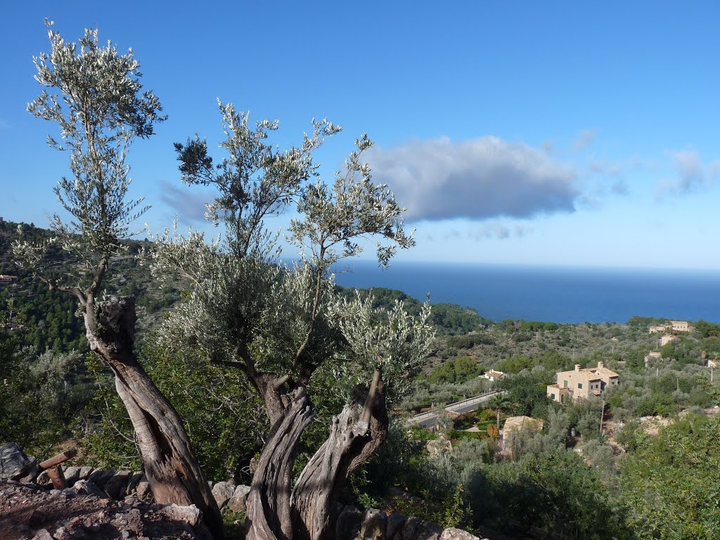 Sea View in Deià by gabachat