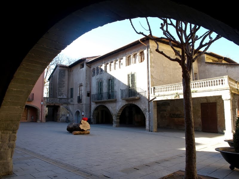 Plaça Vella, con el Tió de Nadal Torelló by destralerdelbruc