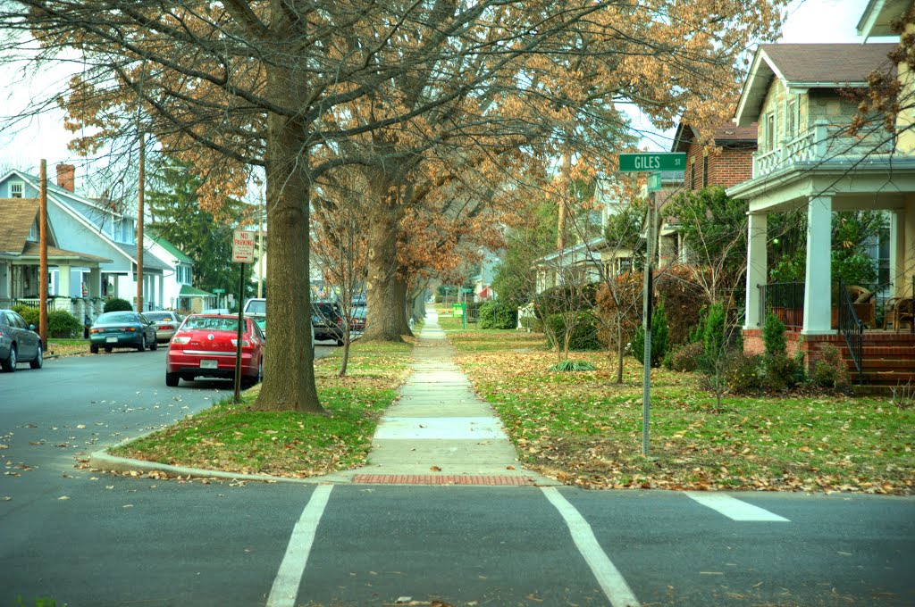 Sidewalk on Washington St. by bill lawson