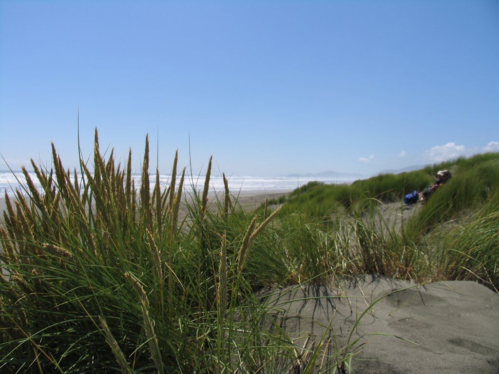 Parque Nacional Chiloé by aleweser