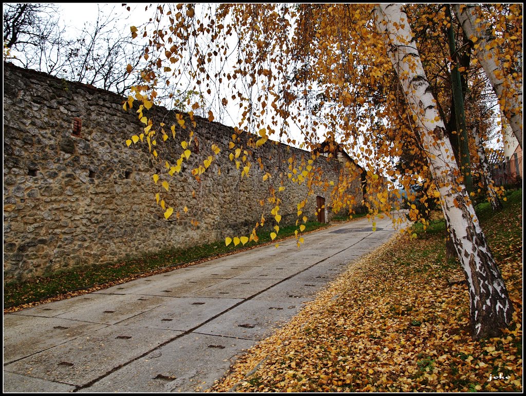 BOJNICE - cesta na STRÁŽOV by < JOKO >