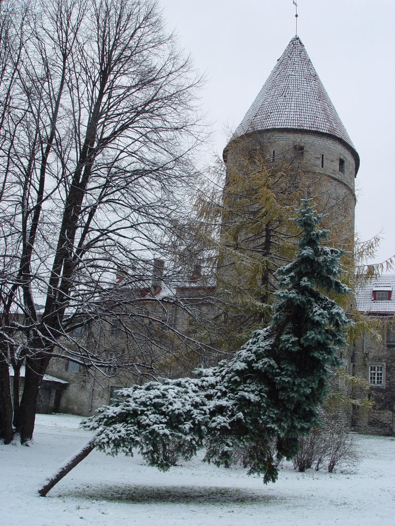 Old town Tallinn by spoil