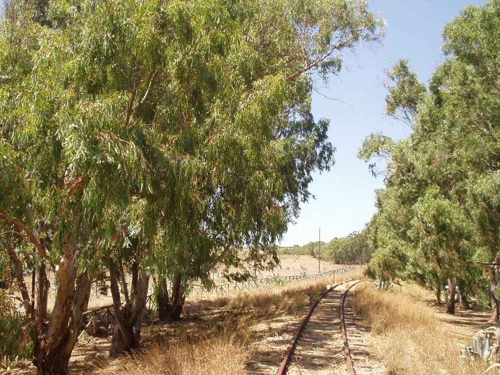 Old railway by Riccardo Lazzeretti