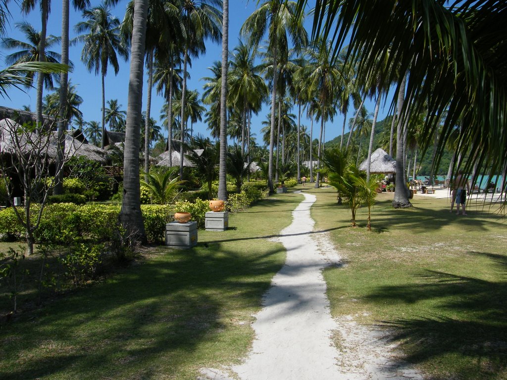 Phi Phi beach walkway by Luca Giangolini