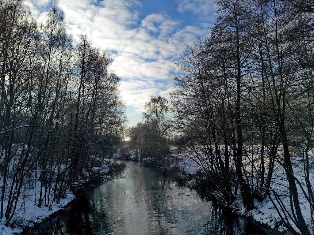 Winter an der Elde by Mecklenburg pro Panoramio