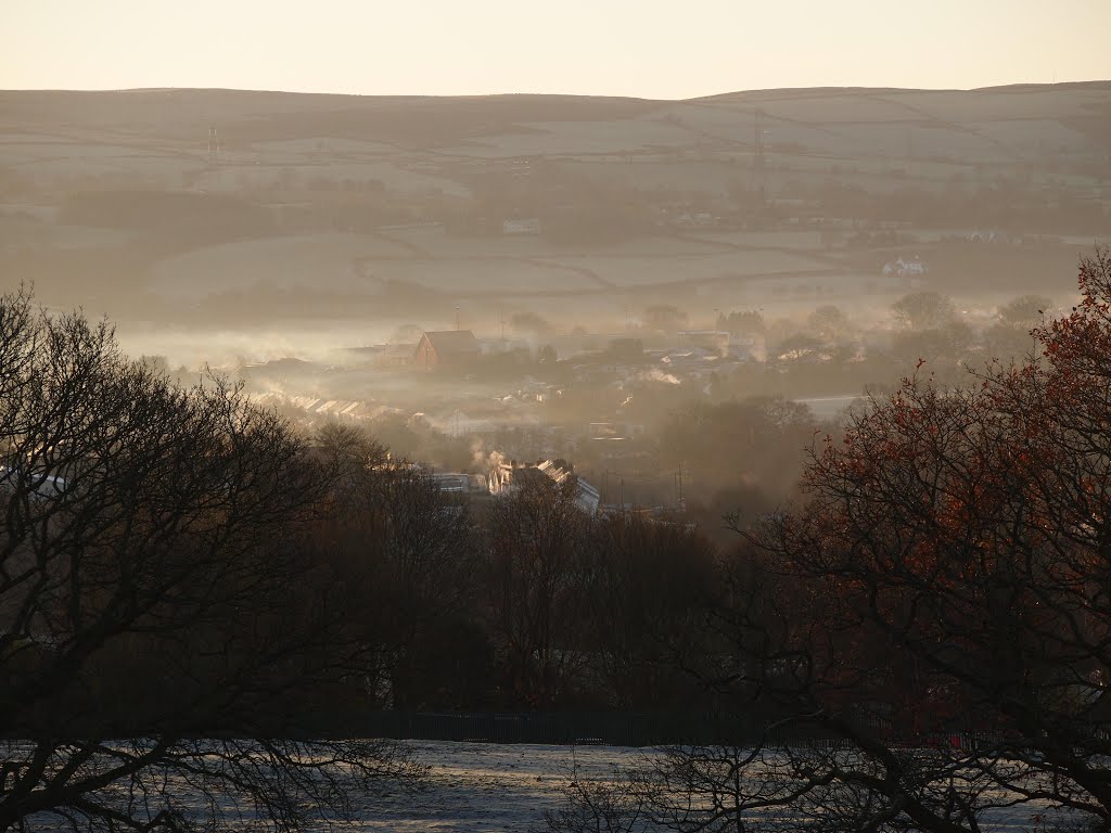 Frosty morning mist by bevan23