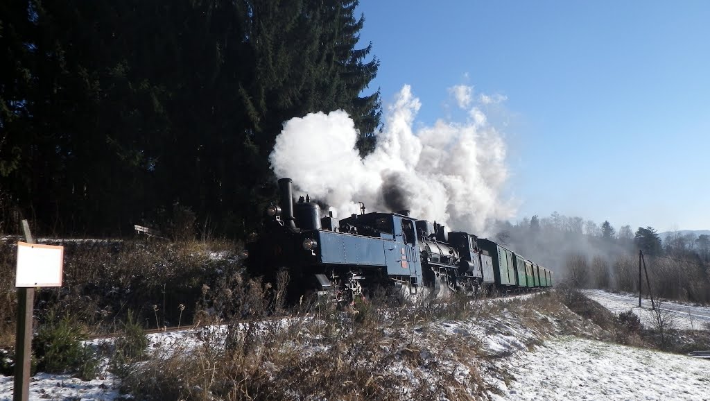 Feistritztalbahn Zillertal 2+83er Anger 6 by hanepu2