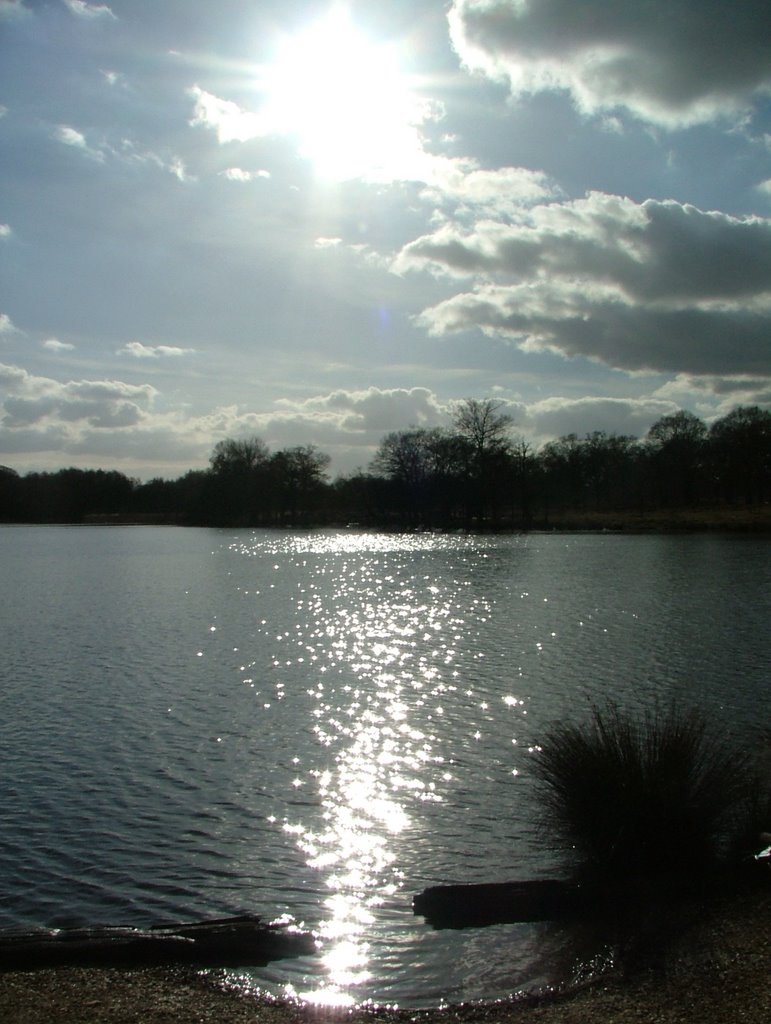 Richmond Park Pen Ponds by UncleRiotous