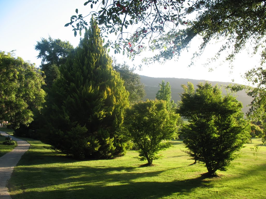 Centro vacacional Palomar, Panquehue by maul_cl