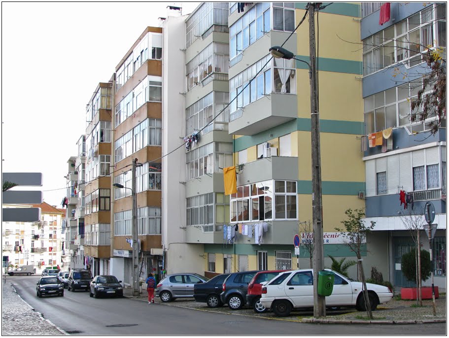 Rua Luís de Camões by Barragon