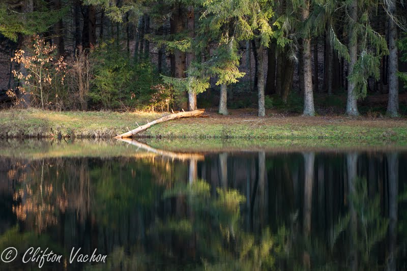 Belding Wildlife Management Area by Cliff Vachon