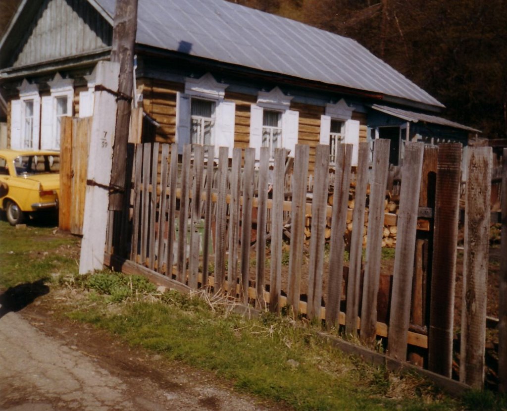 near Baikal by goterei