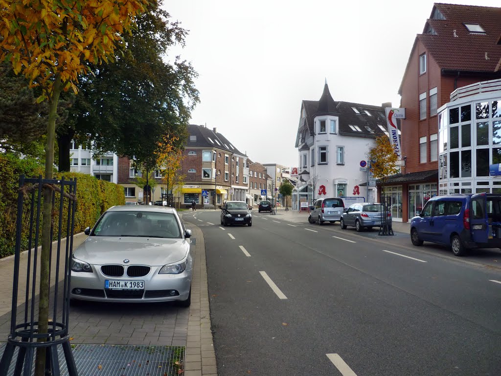 Neufchateaustr. (Hamm-Herringen) / 7.10.2012 by Iceman93 / NO VIEWS!!!