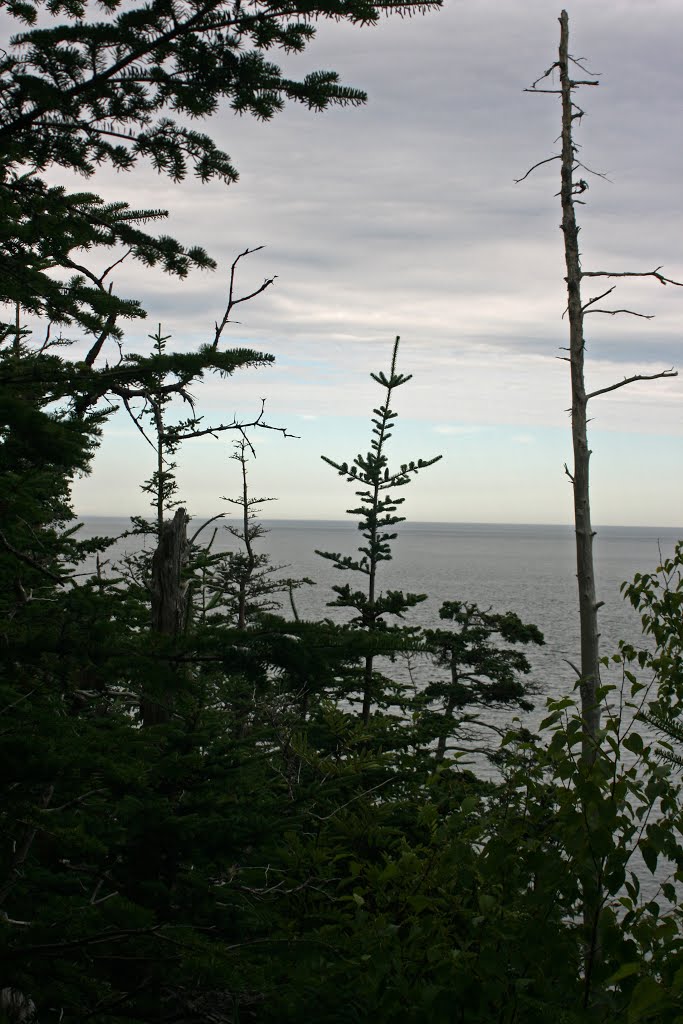 Along the new "Coast Guard Trail", north of the Lighthouse by L. L. Wall