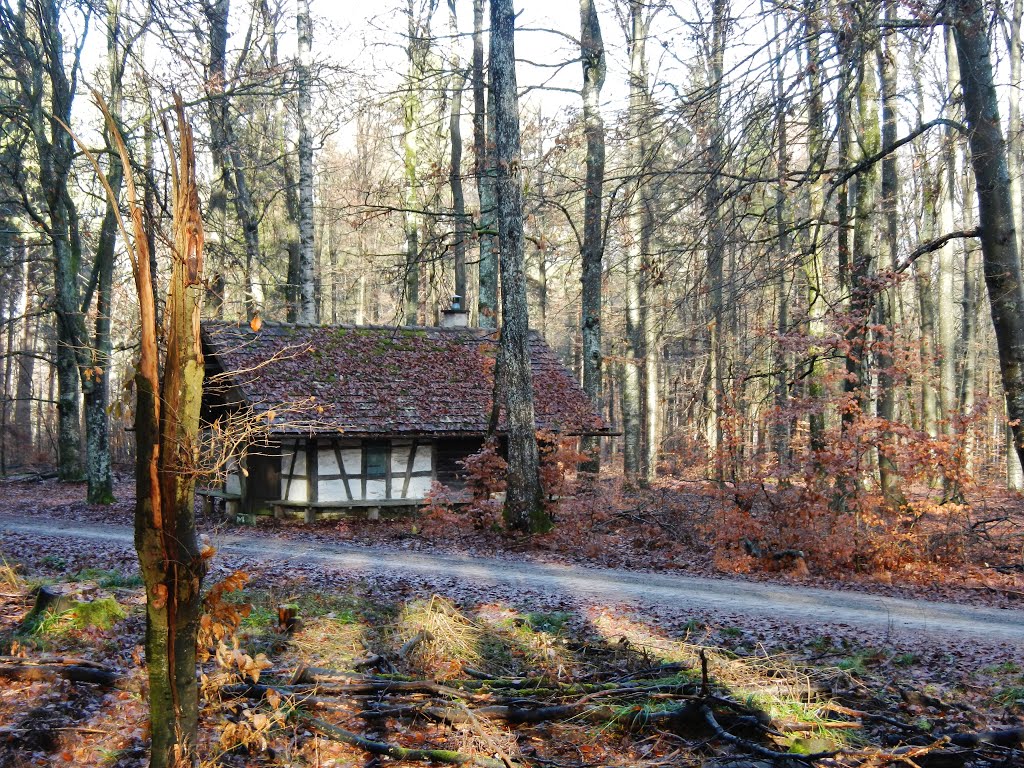 Hütte im Naturpark Schönbuch by Qwesy