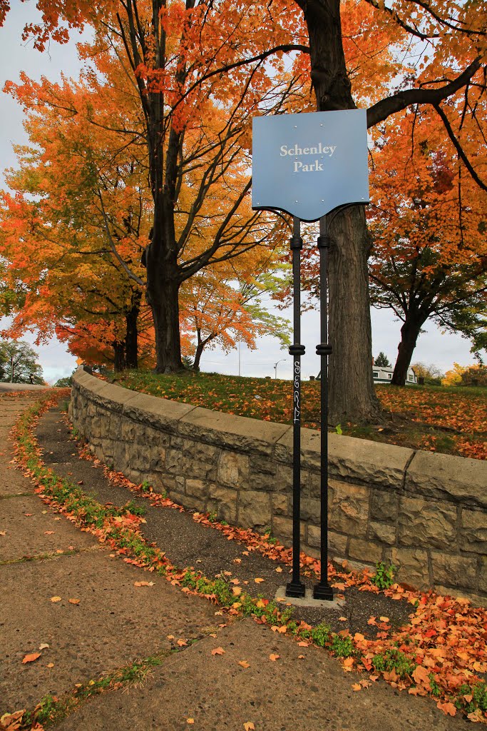 Entrance at Schenley Drive by jingchensun