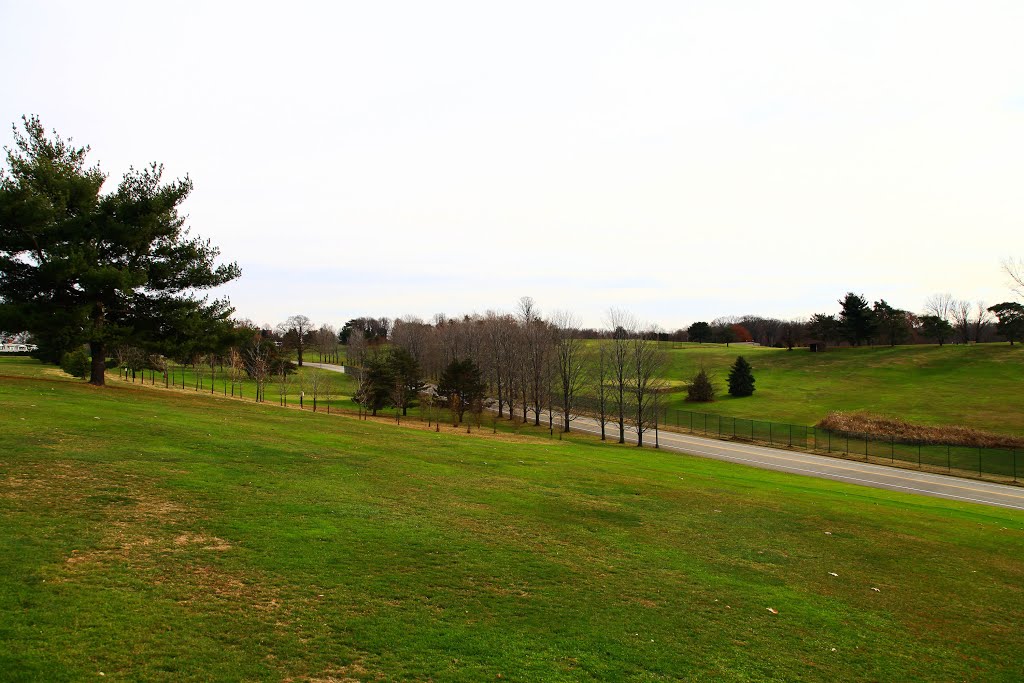 Golf Field by jingchensun