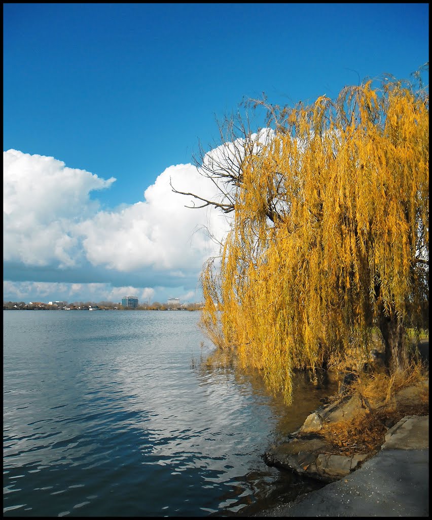 Lacul Tăbăcăriei by Sergiu Gabriel Sîrbu