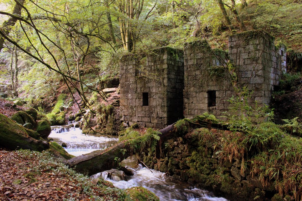 Foundry Ruins, Kennal Vale, Cornwall by Mark-Treby