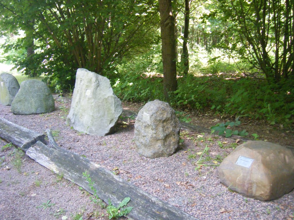 BURGKEMNITZ - Ein paar Minuten Pause im Arboretum - Na, die Steine sind ziemlich alt . . . by ReinhardKlenke