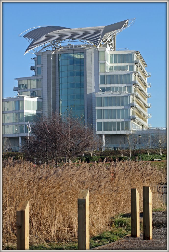 Cardiff Bay by David Owen