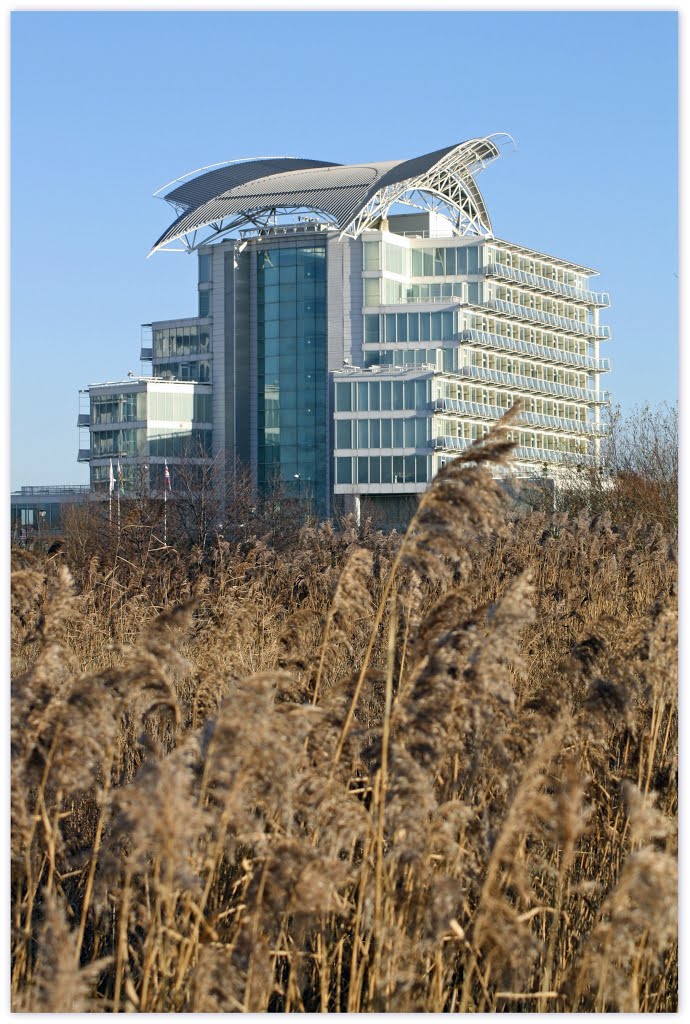 Cardiff Bay by David Owen