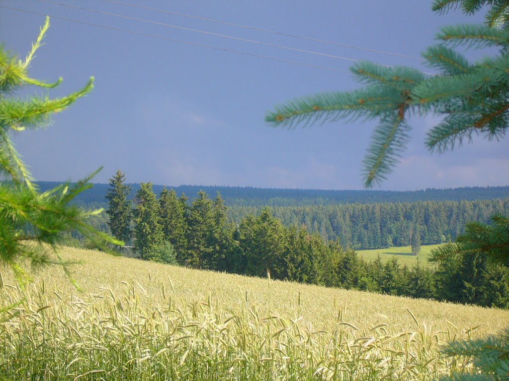 Ausblick von unserem Garten by berenstein