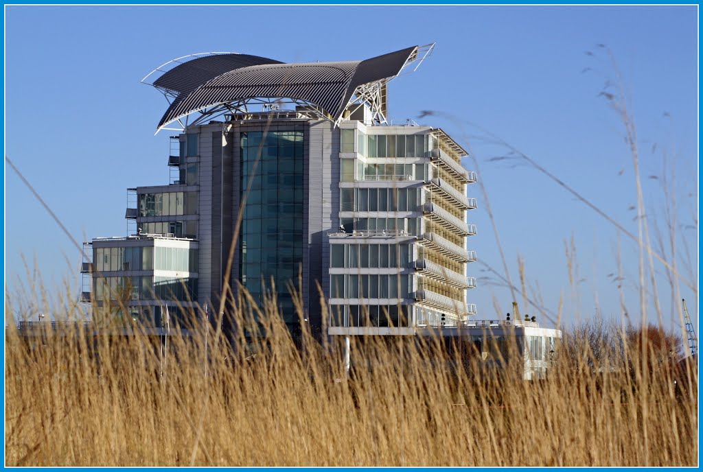 Cardiff Bay by David Owen