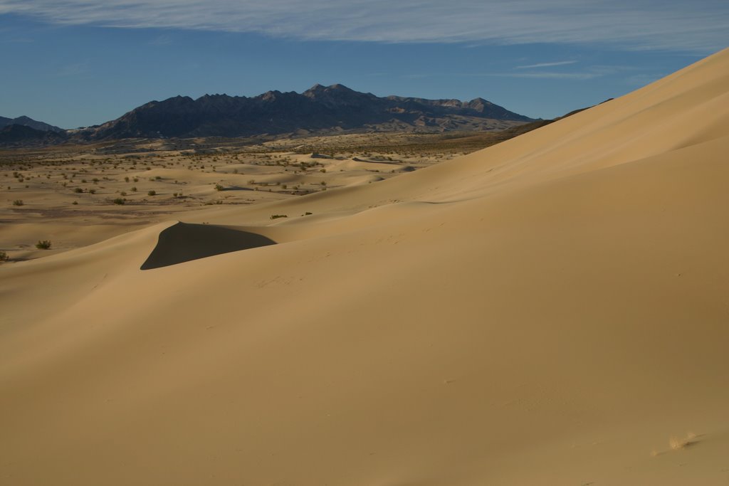 Ibex, dunes & hills by SL&LS