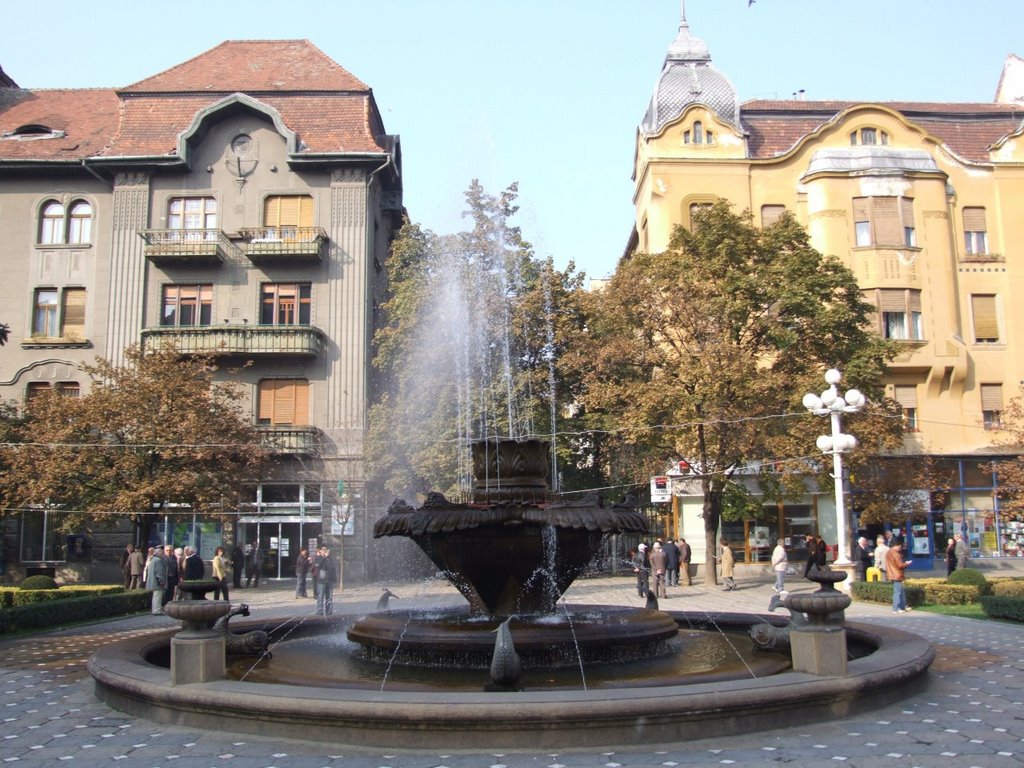 The fountain with fish, in the heart of Timişoara city, in Romania by Alexandru Szasz