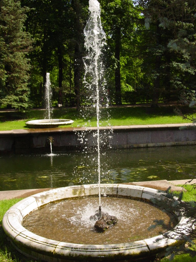 Peterhof 2 fountains by Xyclon