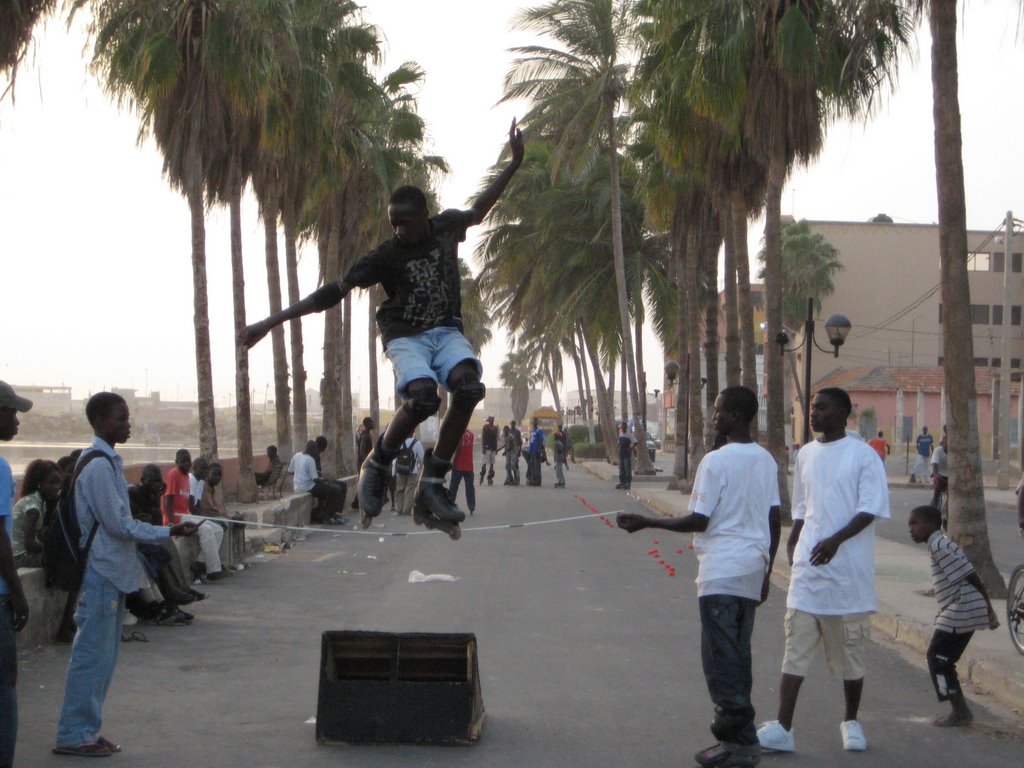 SYSTEME ROLLER SAINT-LOUIS by Daniel JOYEUX