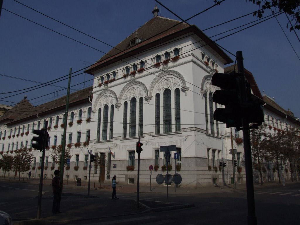 City hall building, Timişoara, Romania by Alexandru Szasz