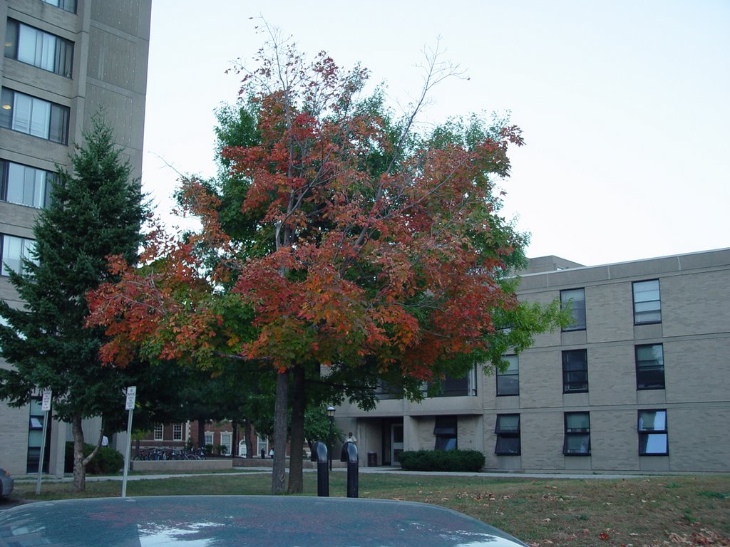 第一所就读大学普拉茨堡大学 Plattsburgh University by 鼎爷