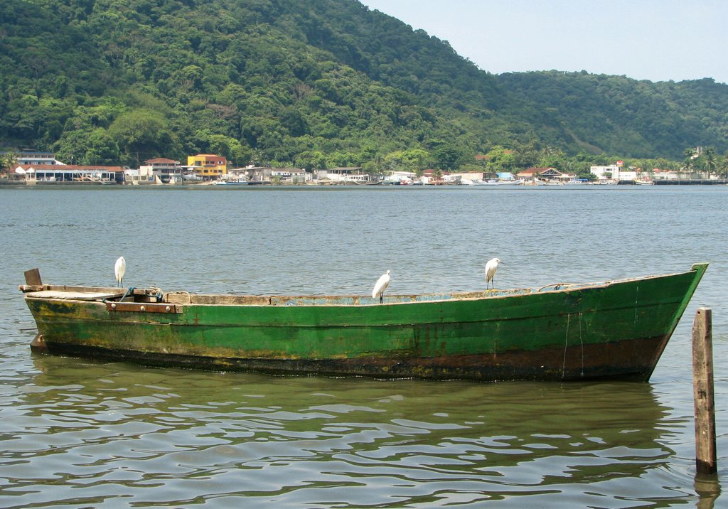 Verde Barco by Alexandre Neves